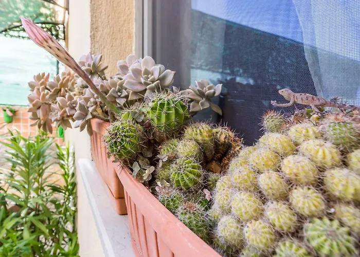 Mika Διαμέρισμα *